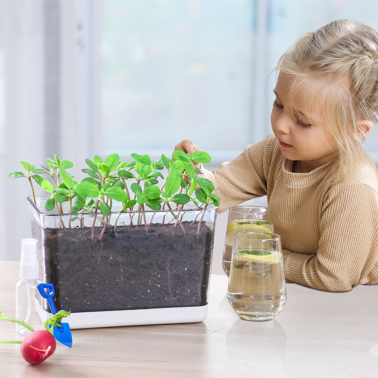 OLiz Self Watering Planter, Rectangular Self-Watering Clear Planters Box for Devil&