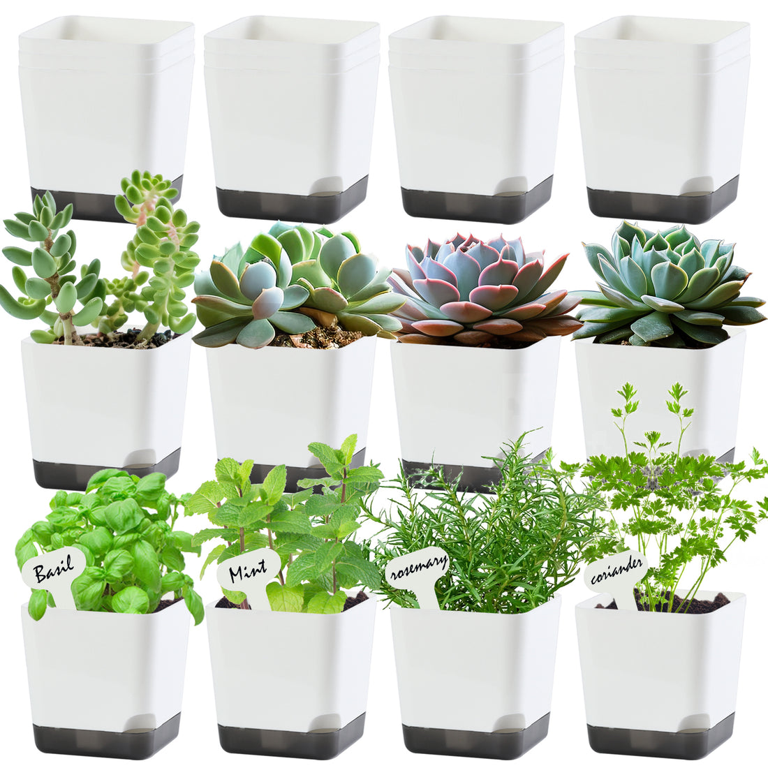 OLiz 3 inch Small Nursery Pots, Seedling Pots, 20 Pack Plastic Plant Pots for Indoor Outdoor Plants, Decorative White Succulent Flower Pots with Drainage Holes and Saucers--Mini Pots 20 Pack T103