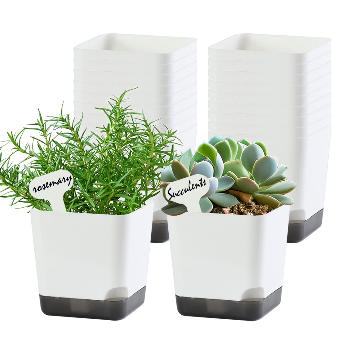 OLiz 3 inch Small Nursery Pots, Seedling Pots, 20 Pack Plastic Plant Pots for Indoor Outdoor Plants, Decorative White Succulent Flower Pots with Drainage Holes and Saucers--Mini Pots 20 Pack T103