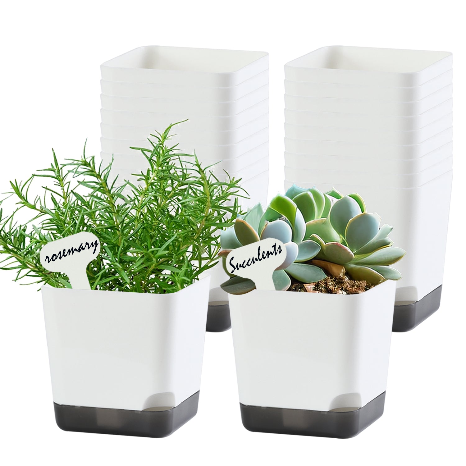OLiz 3 inch Small Nursery Pots, Seedling Pots, 20 Pack Plastic Plant Pots for Indoor Outdoor Plants, Decorative White Succulent Flower Pots with Drainage Holes and Saucers--Mini Pots 20 Pack T103