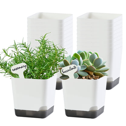 OLiz 3 inch Small Nursery Pots, Seedling Pots, 20 Pack Plastic Plant Pots for Indoor Outdoor Plants, Decorative White Succulent Flower Pots with Drainage Holes and Saucers--Mini Pots 20 Pack T103