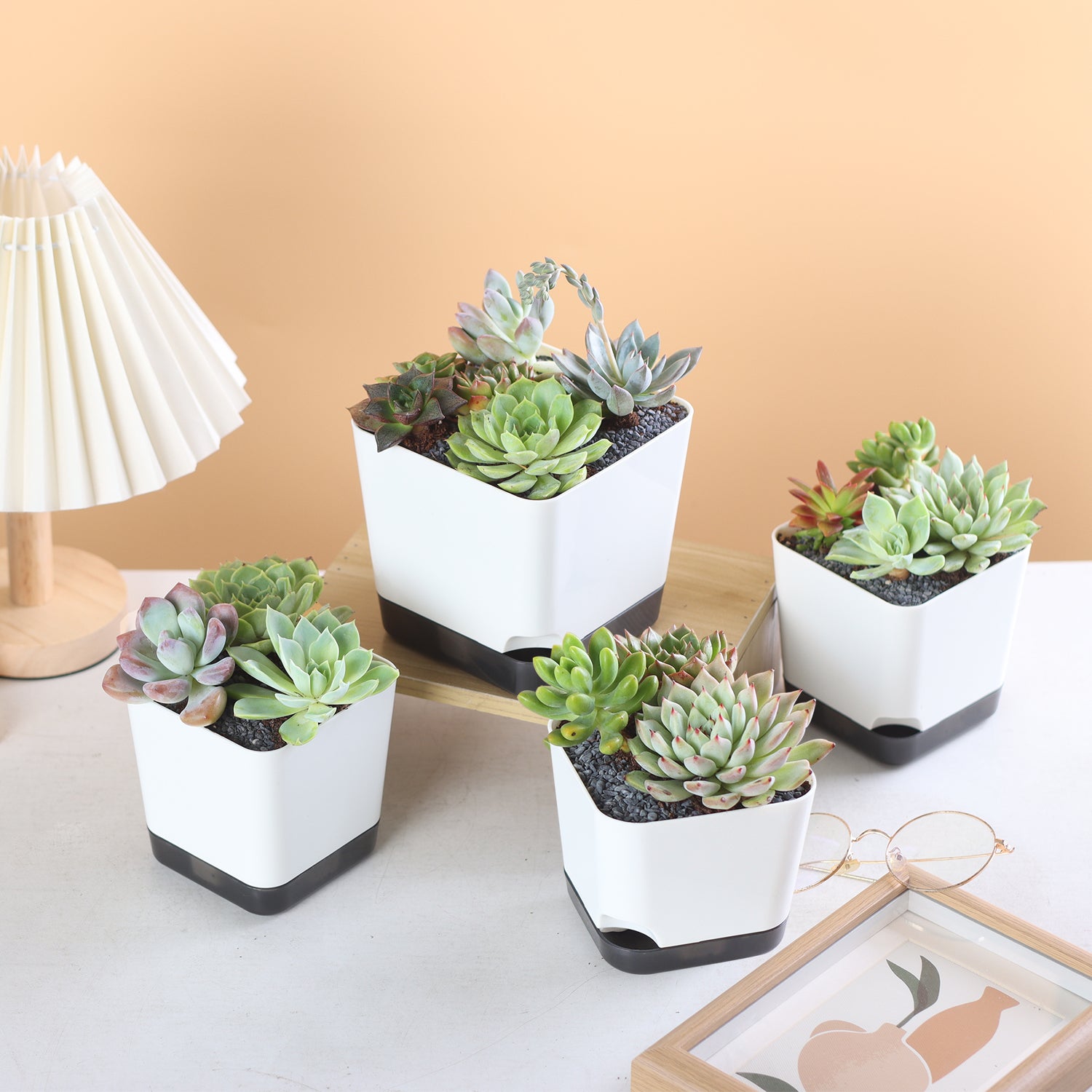 OLiz Succulent Pots, 3.1 inch Plastic Mini White Flower Planters with Drainage Hole for Indoor Office Home Plant Cactus Violet, Pack of 6(Plants Not Included)--Mini Pots 6 Pack T103