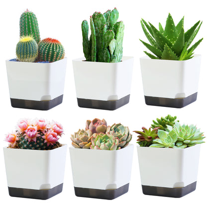 OLiz 3.9 Inch Plant Pots Set of 6, White Small Plastic Planters, Succulent Pots, Nursery Pots, Flower Pots DIY for Indoor Cactus Herb Flowers (Plants Not Included)--Medium Pots 6 Pack T104