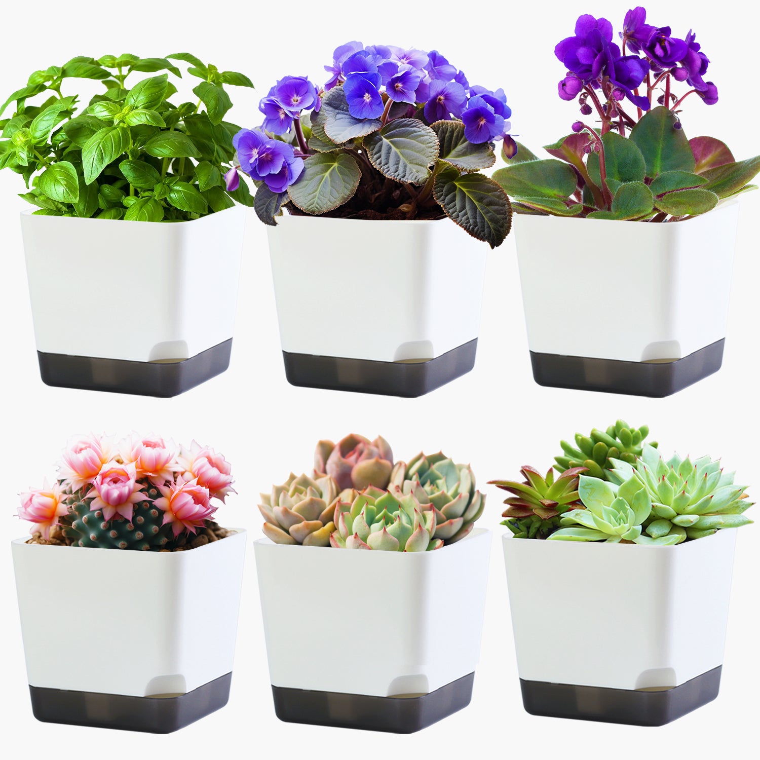 OLiz 3.9 Inch Plant Pots Set of 6, White Small Plastic Planters, Succulent Pots, Nursery Pots, Flower Pots DIY for Indoor Cactus Herb Flowers (Plants Not Included)--Medium Pots 6 Pack T104