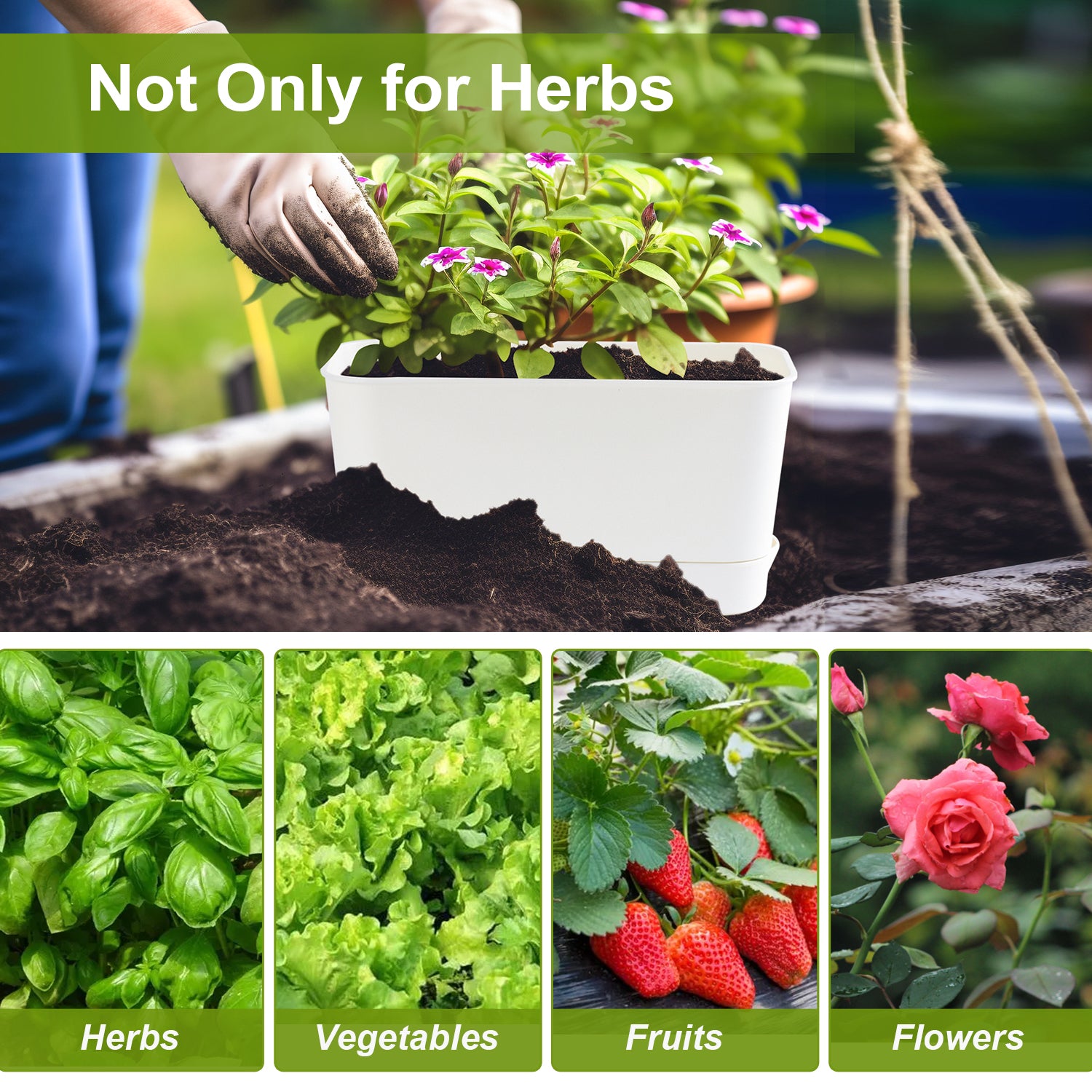 Oliz Herb Garden Planter Indoor Kit Self Watering Pots for Indoor/Outdoor Plant, Windowsill Plant Pots with Drainage and Tray, Window Pot for Indoor Plants,2 Packs/ 4 Packs  T106/ T107