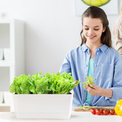 Oliz Herb Garden Planter Indoor Kit Self Watering Pots for Indoor/Outdoor Plant, Windowsill Plant Pots with Drainage and Tray, Window Pot for Indoor Plants,2 Packs/ 4 Packs  T106/ T107