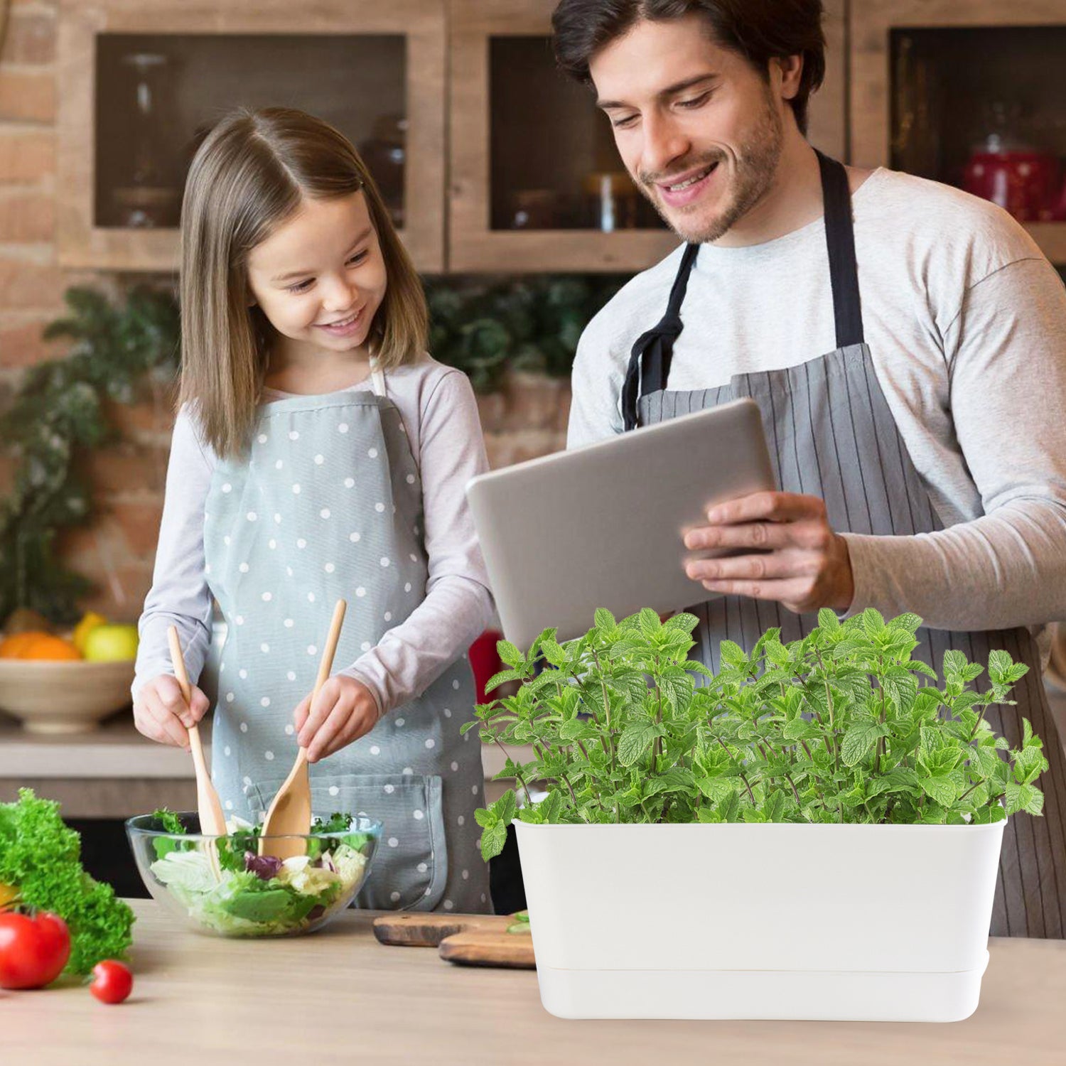 Oliz Herb Garden Planter Indoor Kit Self Watering Pots for Indoor/Outdoor Plant, Windowsill Plant Pots with Drainage and Tray, Window Pot for Indoor Plants,2 Packs/ 4 Packs  T106/ T107