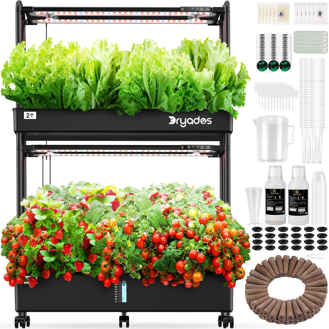 Dryades Large Hydroponics Growing System Kit, 60 Pods Vertical Hydroponic Garden with 2 Light Modes Grow Light, Auto Circulating Water System, 32L Indoor Gardening System for Herb Vegetable Fruit Z210-2L-BL