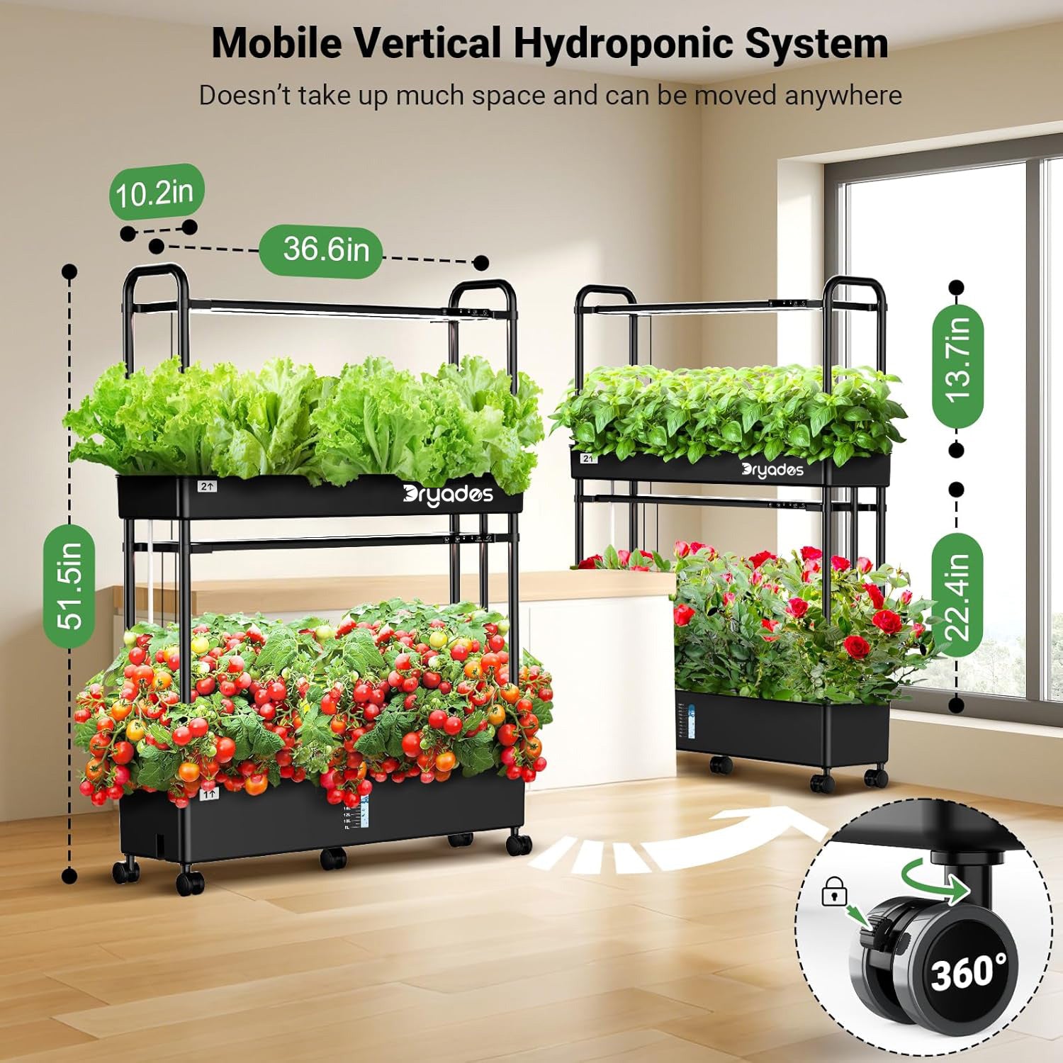 Dryades Large Hydroponics Growing System Kit, 60 Pods Vertical Hydroponic Garden with 2 Light Modes Grow Light, Auto Circulating Water System, 32L Indoor Gardening System for Herb Vegetable Fruit Z210-2L-BL