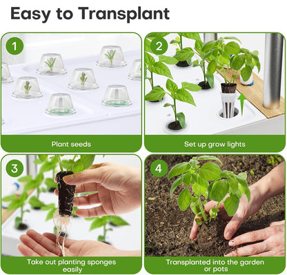 Dryades Large Hydroponics Growing System Kit, 60 Pods Vertical Hydroponic Garden with 2 Light Modes Grow Light, Auto Circulating Water System, 32L Indoor Gardening System for Herb Vegetable Fruit Z210-2P-WH
