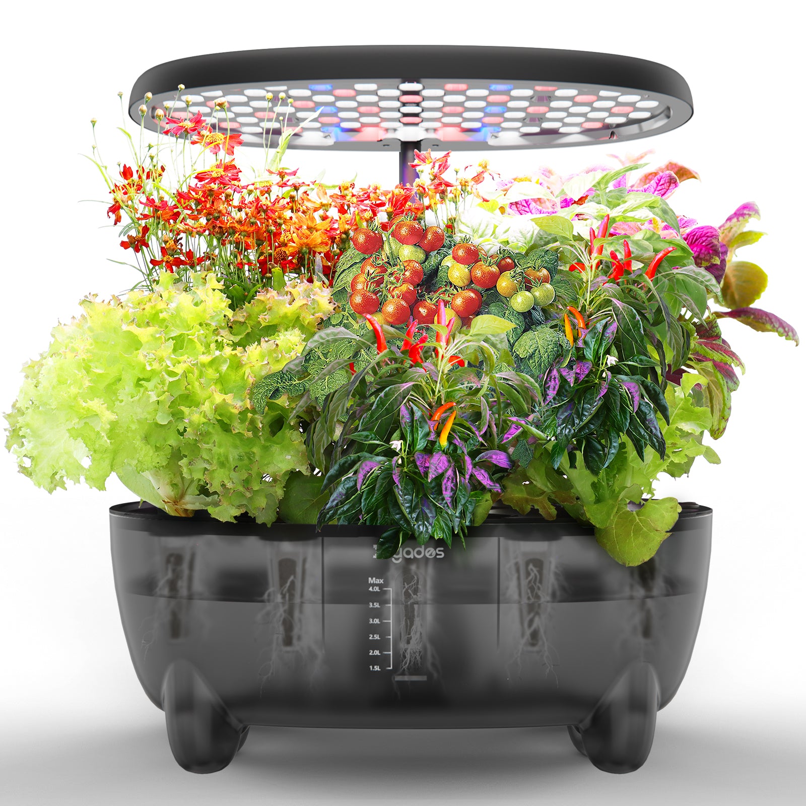 DRYADES Indoor Herb Garden Kit, Hydroponic Growing System with LED Grow Light Quiet Water Pump for Home Kitchen Office Healthy Fresh Herbs Vegetables, Gift Ideas for Women Men -Z237