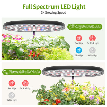 DRYADES Indoor Herb Garden Kit, Hydroponic Growing System with LED Grow Light Quiet Water Pump for Home Kitchen Office Healthy Fresh Herbs Vegetables, Gift Ideas for Women Men -Z237
