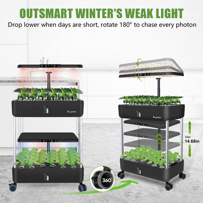 DRYADES 44 Pods Hydroponics Growing System, DRYADES Dual Layers Indoor Garden with LED Full Spectrum Grow Light, 2 × 13.3L Water Tanks, Height &amp; Angle Adjustable, Professional Smart Plant Germination Kits - Z243